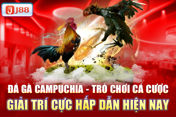 đá gà campuchia